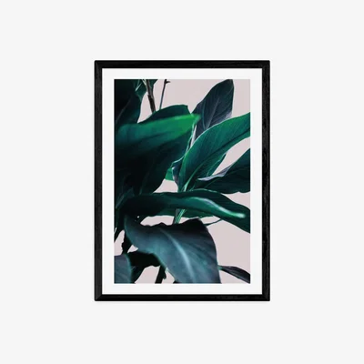 Olivia's Leaves IV by Mareike Boehmer - A3 Black Framed Art Print