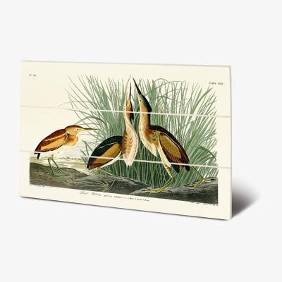 Olivia's The Art Group John James Audubon (Least Bittern) Wood Print / Micro