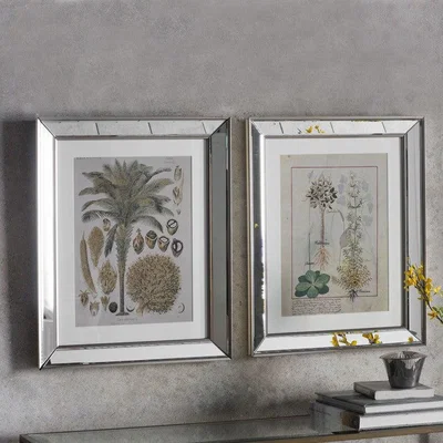 Olivia's Gallery Direct Botanica Floral Ii Framed Art Set Of 2