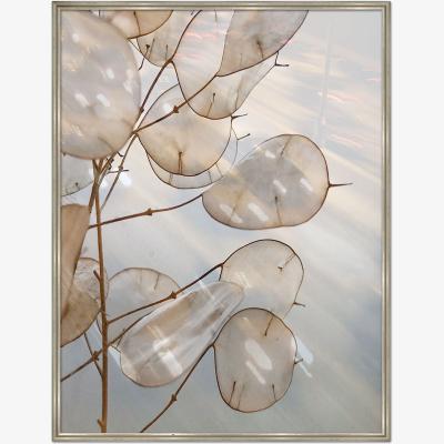 Olivia's Quintessa Art Lunaria Under Glass Print / 100 x 80cm