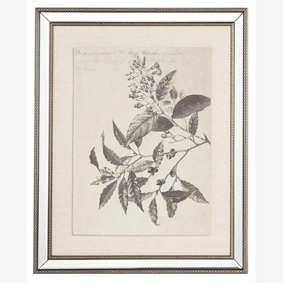 Olivia's Mindy Brownes Set of 3 Prints Wall Art Grey