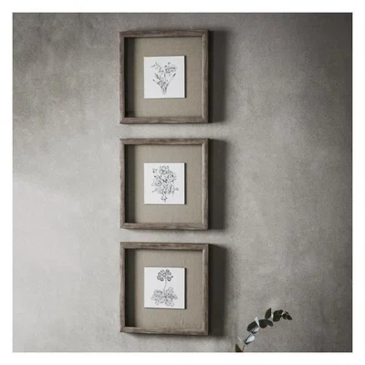 Olivia's Gallery Direct Monochrome Botanical Framed Art Trio