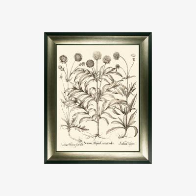 Olivia's Olivia's 'Sepia Botanials III' - Framed & Glazed Print - 89x72.5cm