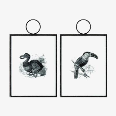 Olivia's Gallery Direct Exotic Birds Hanging Art Set Of 2 Wall Art