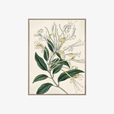 Olivia's Gallery Interiors 'Flourishing Foliage' Framed Wall Art - 62.5 x 82.5cm