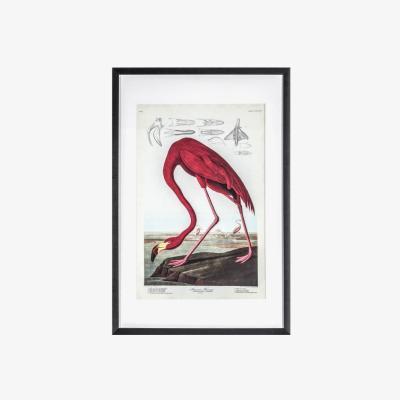 Olivia's Gallery Direct Curious Flamingo Framed Wall Art