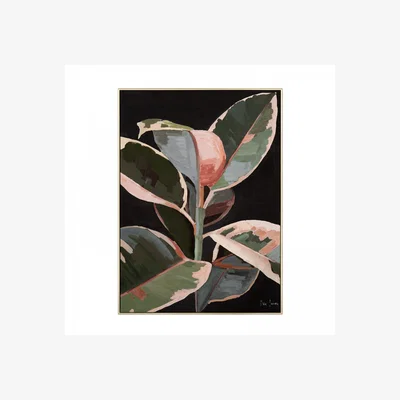 Olivia's Gallery Interiors 'Robusta' Framed Wall Art - 52 x 72cm