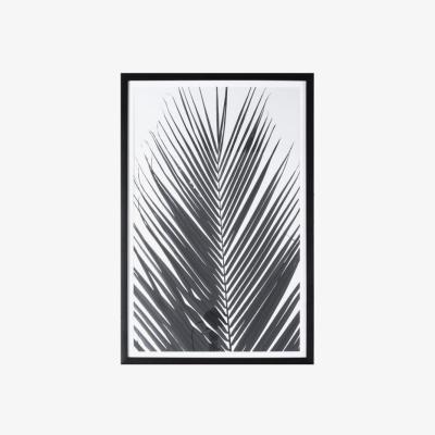 Olivia's Gallery Direct Monochrome Palm Framed Wall Art | Outlet