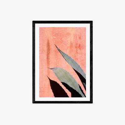 Olivia's Peach Cactus by Honeymoon Hotel - A3 Black Framed Art Print