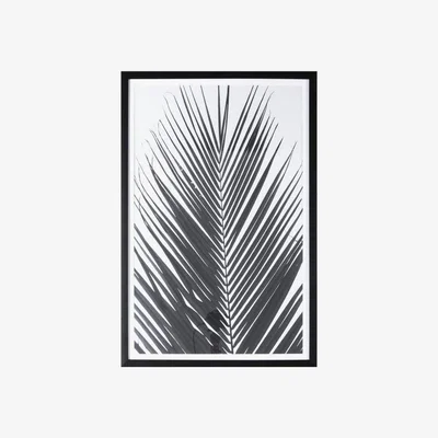 Olivia's Gallery Direct Monochrome Palm Framed Wall Art