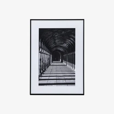 Perch and Parrow Piazza Photographic Art