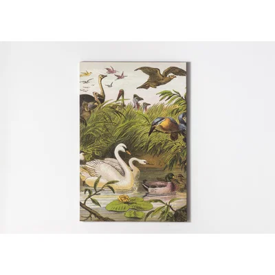 Perch and Parrow Canard Busy Birds Canvas Wall Art