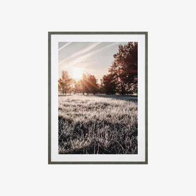 Perch and Parrow Break Of Day Framed Wall Art