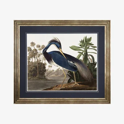 Perch and Parrow Graceful Heron Framed Art