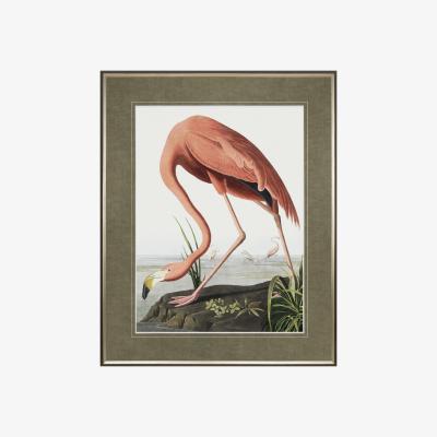 Perch and Parrow Classic Flamingo Framed Art