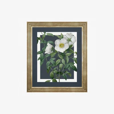 Perch and Parrow Botanical Beauty Framed Art