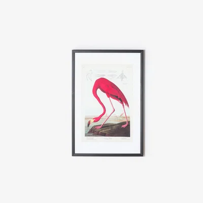 Perch and Parrow Flamingo Motif Wall Art