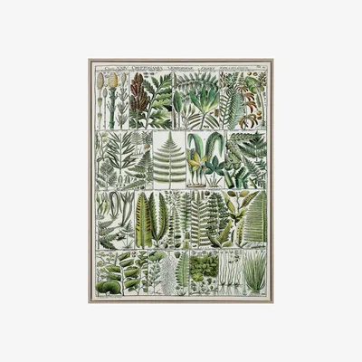 Perch and Parrow Wild Foliage Framed Canvas Wall Art