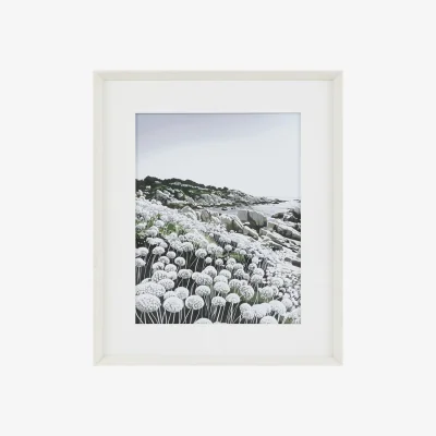 Perch and Parrow Coastal Wild Flowers 1