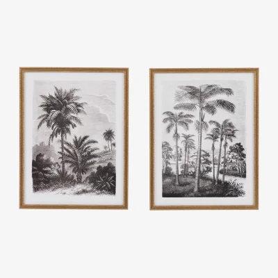 Perch and Parrow Palm Tree Sketches Wall Art, Set of 2