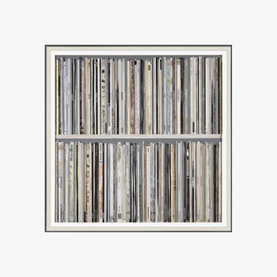Perch and Parrow Vinyl Shelf Framed Wall Art