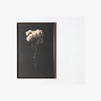 Perch and Parrow Ainhoa Striking Bouquet Wall Art Print