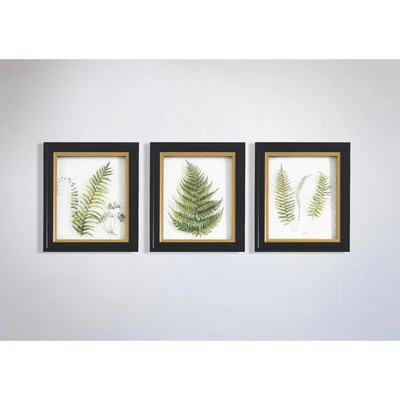 Perch and Parrow Wild Fern Framed Wall Art Trio