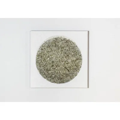 Perch and Parrow Venus Textured Canvas Wall Art