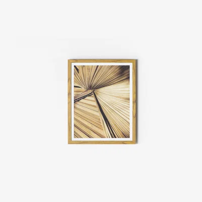 Perch and Parrow Cocos Framed Wall Art