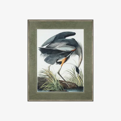 Perch and Parrow Classic Blue Heron Framed Wall Art