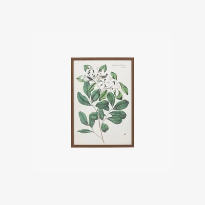 Perch and Parrow Wildleaf Framed Art