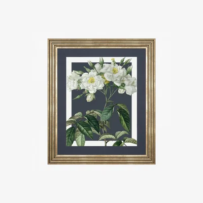 Perch and Parrow Botanical Bliss Framed Art