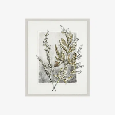 Perch and Parrow Fern Framed Wall Art