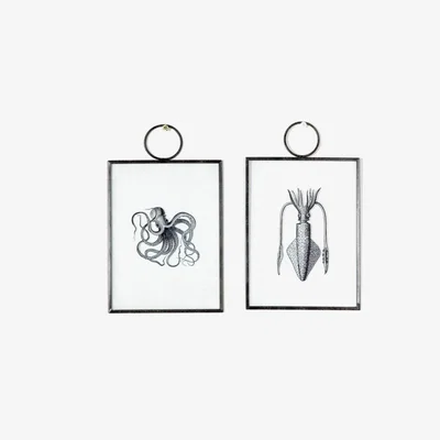 Perch and Parrow Ursula Duo of Deep Sea Wall Art Prints
