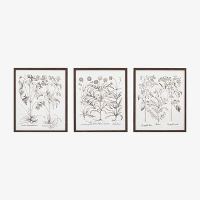 Perch and Parrow Foliage Framed Art, Set of 3