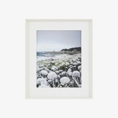 Perch and Parrow Coastal Wild Flowers 2