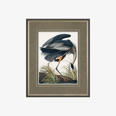 Perch and Parrow Classic Blue Heron Framed Art, Small