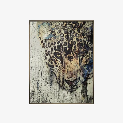 Perch and Parrow Wildcat Framed Canvas Wall Art