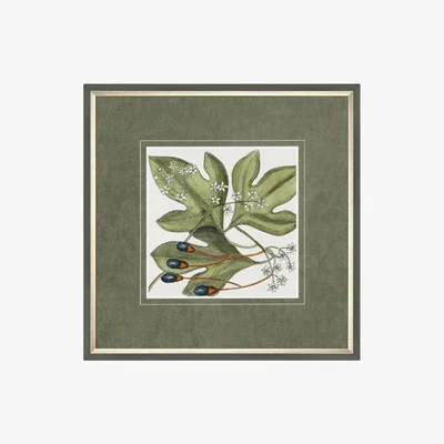 Perch and Parrow Leaf Illustration Framed Wall Art
