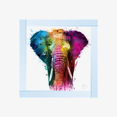 Pagazzi Africa Pop Elephant Liquid Art with Mirrored Frame 87x87cm