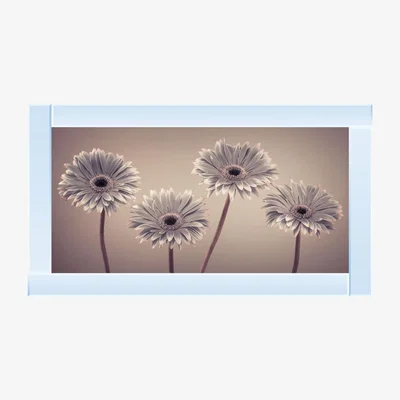 Pagazzi Gerbera Swarovski Liquid Art