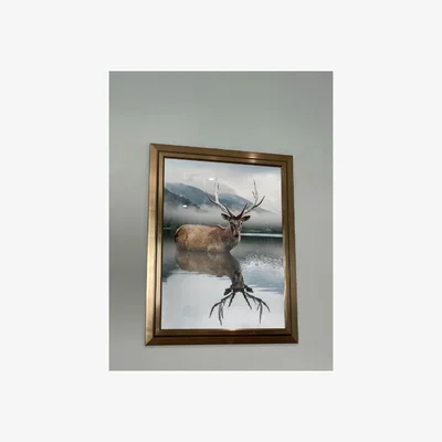 Pagazzi Stag Reflection Wall Art With Mirrored Frame 80x60cm