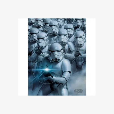Pagazzi Star Wars Stormtroopers Canvas Wall Art