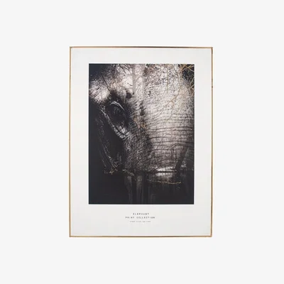 Pagazzi Mono Elephant Print Gold and Black Wall Art 60cmx80cm