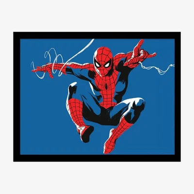 Pagazzi Spider-Man Collector Framed Wall Art 30x40