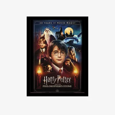 Pagazzi Harry Potter and the Philosopher's Stone Framed Wall Art 30x40