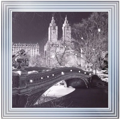 Pagazzi Gapstow Monochrome Liquid Art