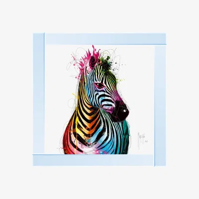 Pagazzi Zebra Pop Liquid Art with Mirrored Frame 87x87cm