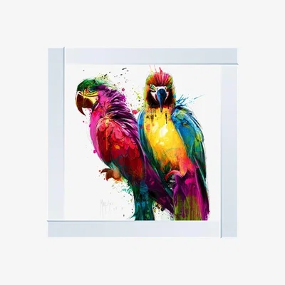 Pagazzi Tropical Colours Parrots Liquid Art with Mirrored Frame 86x86cm