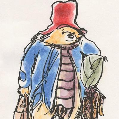 The Range Paddington Bear Carrying  - Pink